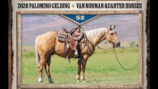 LOT 52JP SOLANO SUNDANCEVAN NORMAN SALE [upl. by Carnes]