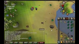 i am Speccing Out Ammonite Crabs with a Dragon Mace in Old School Runescape the Online Computer Game [upl. by Brinn421]