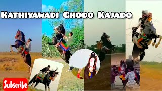 kajado ghodo kathiyawadi horse kajado fuleku kudva vala ghoda  horse lovers amp horse power 🔥😱 [upl. by Elissa440]