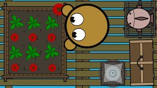 PLANTING TOMATOES RAAAAFTIO NEW UPDATE [upl. by Dloraj]