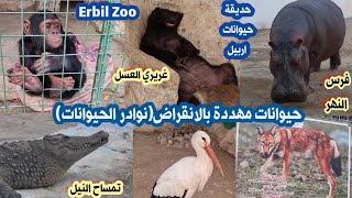 حديقة الحيوان  حديقة اربيل للحيوانات Iraq Park zoo [upl. by Leahciam]