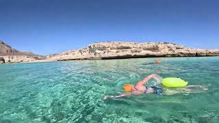 Loreto  Baja Mexico Swim Vacations [upl. by Tavis350]