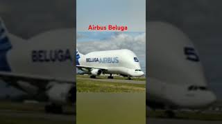 Beluga heavy cargo plane edit aircraft airtransportation beluga [upl. by Gustavo]