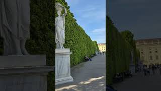 Schonbrunn Palace 美泉宫 I Vienna [upl. by Sosanna]