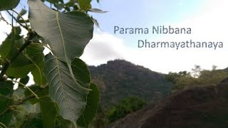 Parama Nibbana Dharmayathanaya  Poya Day Meerigama [upl. by Tobit]