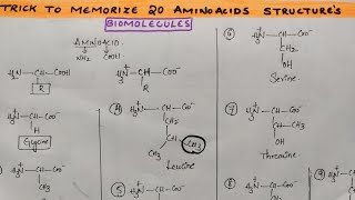 Trick to draw amp memorize 20 Amino acid structures from Biomolecules class 12 chemistry by Komali mam [upl. by Giavani]