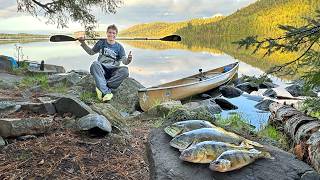 Six Days Camping in the Deep Wilderness  Catch and Cook my Dinner [upl. by Thomasina]