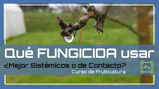 Qué es un 🐞 FUNGICIDA 🐛Tipos y USOS 🤛 Capítulo 31 Curso básico de FRUTICULTURA 2020  LdN [upl. by Ailahtan]