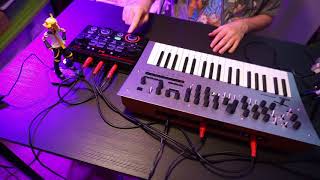 Using a midi syncable boos rc202 loop station with a synth or sequencer [upl. by Winne56]