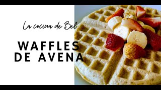 Waffles con harina de avena receta fácil [upl. by Geddes992]