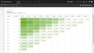 Overview of Cohort Tables in Analysis Workspace [upl. by Garik842]