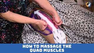 How to Massage the Quad Muscles  quadmuscles [upl. by Whitebook]