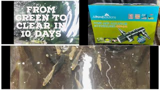 All Pond Solutions UV Light Steriliser Clarifier Filter CUV211 Green To Clear In 10 Days Review [upl. by Carrington11]