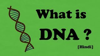 What is DNA  Hindi [upl. by Alyn]