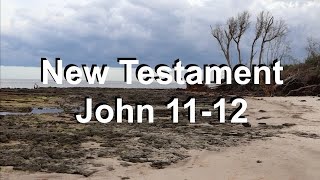 New Testament John 11  12 [upl. by Lateh693]