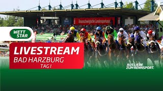 Livestream Bad Harzburg 2007 [upl. by Knah]