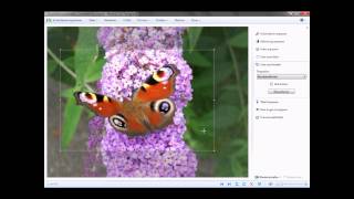 Bildausschnitt ausschneiden mit Windows Live Fotogalerie [upl. by Arondel]