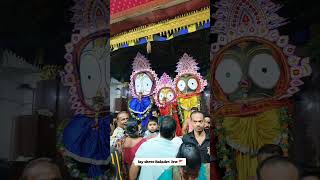 pabitra tulasi khetra  ichhapur kendrapara❤Jay Jagannath 🙏 [upl. by Elizabeth520]