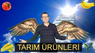 TÜRKİYEDE YETİŞEN TARIM ÜRÜNLERİ Sosyal Bilgiler Konu Anlatımı [upl. by Salahcin]