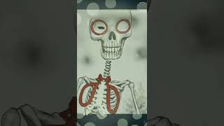 Maine chaha tujhe meri khata song skeleton video [upl. by Arbmat452]