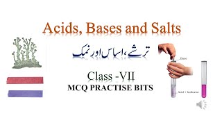 Acids Bases and Salts Class 7 ترشے، اساس اور نمک MCQ Practice Bits Quiz URDU MEDIUM [upl. by Sukram]