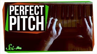 Can You Learn Perfect Pitch [upl. by Cyndi912]