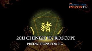 Pig predictions for 2011 [upl. by Traggat883]