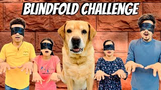 Blindfold Challenge At Home  Leo VS Family  Anant Rastogi [upl. by Annoik]