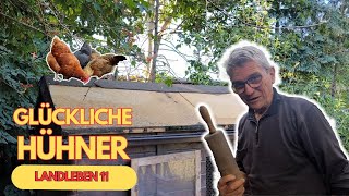 Ein neues Dach für den Hühnerstall  glückliche Hühner halten 🐔 [upl. by Eniac]