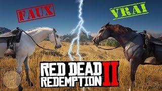 Le VRAI MEILLEUR CHEVAL RDR2 MONTER SON CHEVAL AU MAX [upl. by Tnayrb]