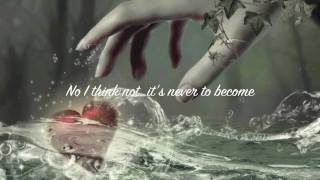 Amy Lee Sallys Song lyrics [upl. by Misti]