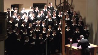 Windsbacher Knabenchor quotSechs traditionelle Weihnachtsliederquot St Paulskirche Dinkelsbühl 26112016 [upl. by Altheta371]