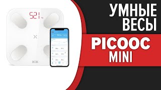 Умные весы Picooc Mini [upl. by Drucill]