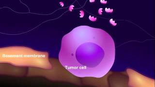 Introduction to Cancer Biology Part 3 Tissue Invasion and Metastasis [upl. by Nnasus]