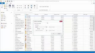 DevExpress WinForms Grid ExcelStyle Filter Editor [upl. by Daukas788]