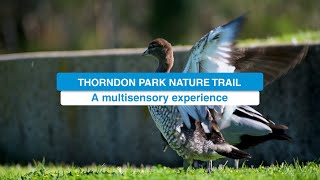 New Thorndon Park Nature Trail [upl. by Gamali]