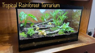 Make a Fish Tank Terrarium  Tropical Rainforest Style [upl. by Joannes]