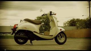 Most Epic Honda Metropolitan Video On The Internet [upl. by Hait]