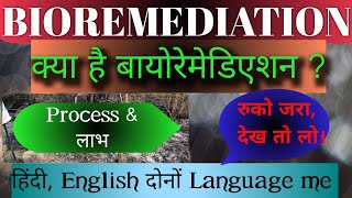 Bioremediation what is bioremediation  bioremediation process Bioremediation in hindi [upl. by Anoel808]