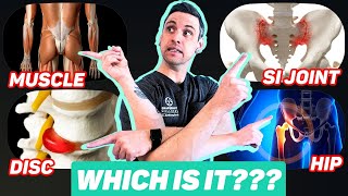 How To SelfDiagnose Low Back Pain amp Sciatica [upl. by Eleahcim]