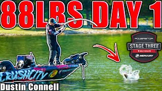 This Place is LOADED  MLF Stage 3  Dale Hollow Lake  Day 1 [upl. by Annibo976]