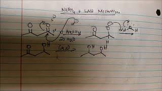 NaBH4 and LAH Reduction MECHANISM [upl. by Eads]