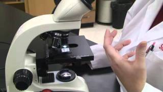 Introduction to the Light Microscope [upl. by Algie]