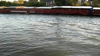 Ebbe und Flut  Gezeiten im Rhein Herne Kanal [upl. by Syramad]