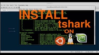 how to Install tshark On Linux Mint or ubuntu [upl. by Box818]