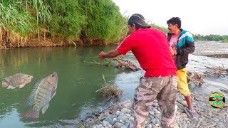 MIRA ASÍ SE PESCAN A LAS TILAPIAS CON ANZUELO  Pesca de Tilapias en Río [upl. by Fabrianne452]