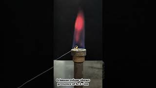 Flame test for Strontium ion Sr3 Semi micro qualitative analysis [upl. by Animor]