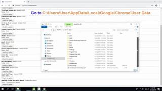 How To Fix Widevine Content Decryption Module Not Updating Issue In Windows 10 [upl. by Giarg]