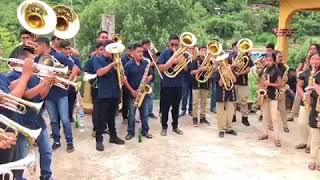 Mi Preciosa  Bandas Nueva Generación Y Herencia Zoochileña Zoochila 2017 [upl. by Rinaldo]