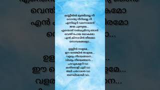 Kanneeril Song lyrics malayalamsonglyrics music statusvideo shorts trending [upl. by Adnauq337]